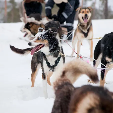 Hillhouse A & B Casa de Férias *