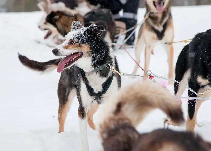 Hillhouse A & B Дом отдыха *